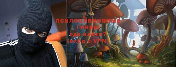метадон Инта
