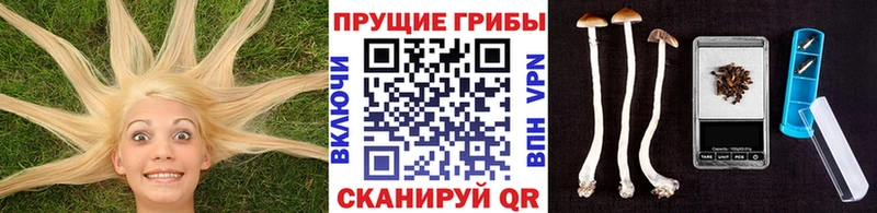 Купить где  Усолье-Сибирское  Псилоцибиновые грибы MAGIC MUSHROOMS 